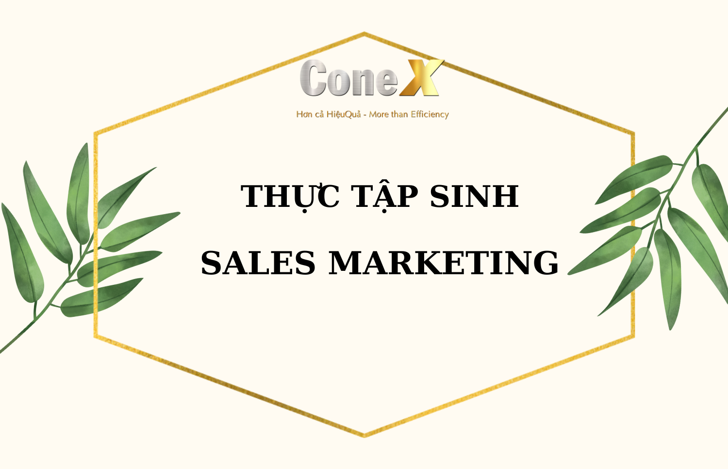 THỰC TẬP SALES MARKETING ( FULLTIME)